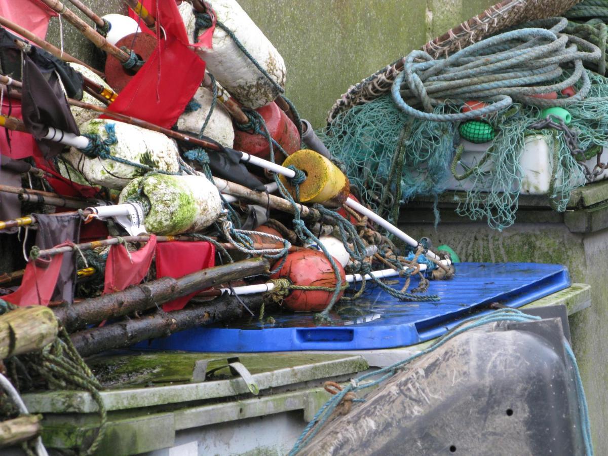 Fuglevaenget Lägenhet Hundested Exteriör bild