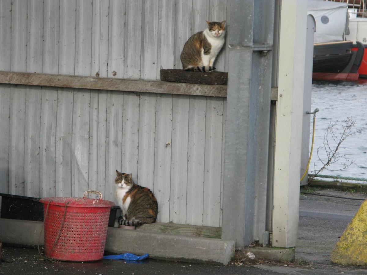 Fuglevaenget Lägenhet Hundested Exteriör bild